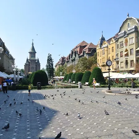 Shopping Apartment Timisoara