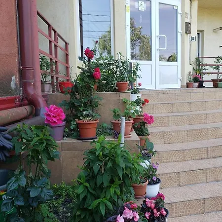 Shopping Apartment Timisoara