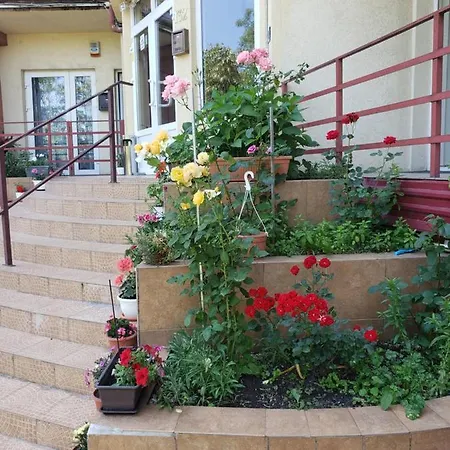 Apartment Shopping Timisoara